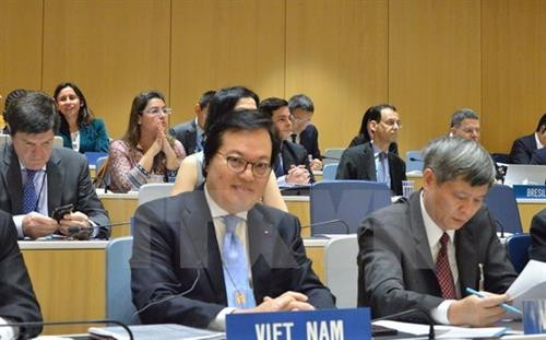 越南常驻联合国日内瓦、世贸组织和其他国际组织 代表杨志勇大使。（图片来源：越通社）