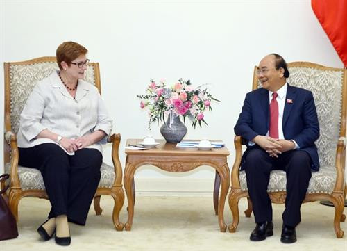 政府总理阮春福会见澳大利亚外交部长玛丽斯•佩恩 ảnh 1