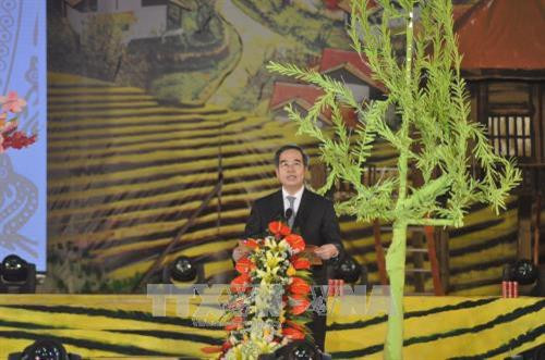 越共中央政资局委员、中央书记处书记、西北事务指导委员会主任阮文平发表讲话。（图片来源：越通社）