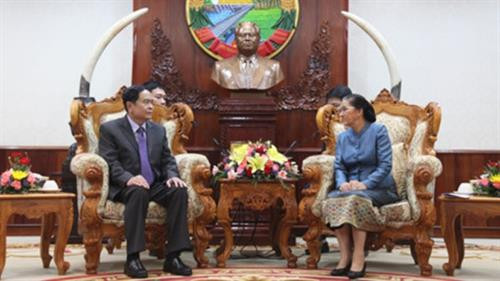 越南祖国阵线中央委员会主席陈青敏礼节性拜会老挝国会主席巴妮•雅陶都。（图片来源：《人民报网》）