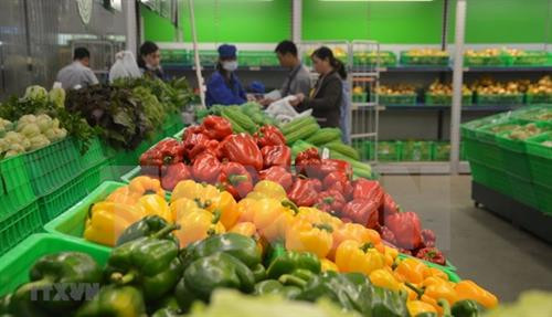 附图。图自越通社 附图。图自越通社