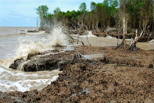 附图。（图片来源：互联网）