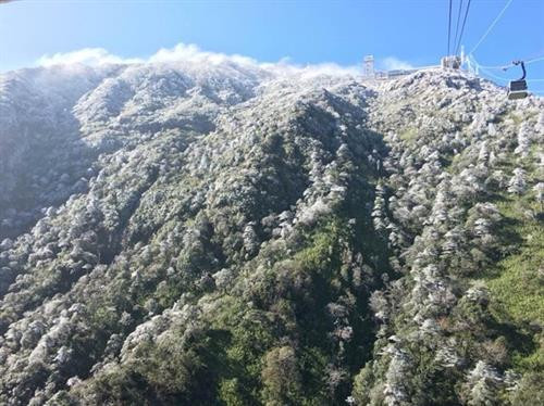 大雪覆盖番西邦峰。（图片来源：越通社）