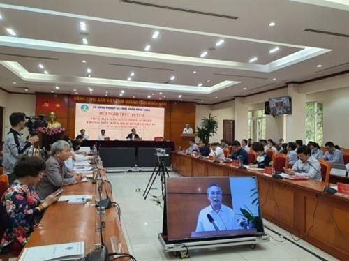 农业与农村发展部3月12日举行的新冠肺炎疫情背景下促进农业生产发展的视频会议。图自越通社