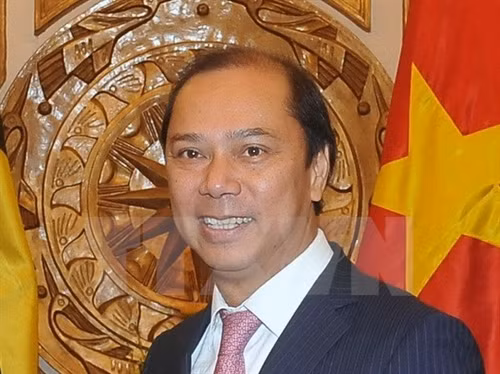 越南外交部副部长阮国勇（图片来源：越通社）