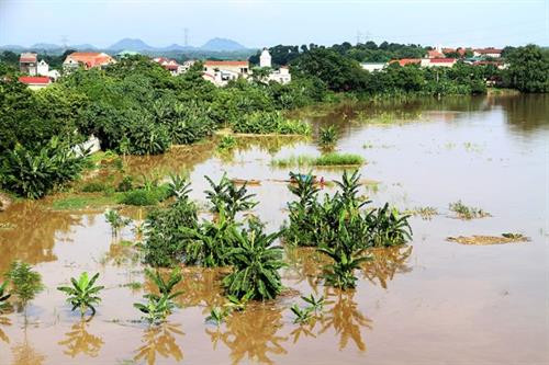 越南北部和中部以北地区各省普降暴雨引发洪水,造成严重的人员和财产损失。(图片来源:越通社) 越南北部和中部以北地区各省普降暴雨引发洪水,造成严重的人员和财产损失。(图片来源:越通社)