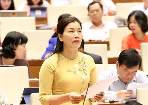 得乐省国会代表阮氏春在会上发表讲话。图自越通社