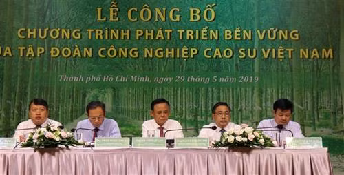 越南橡胶工业集团在胡志明市举行2019-2024年可持续发展计划公布仪式。图自越通社
