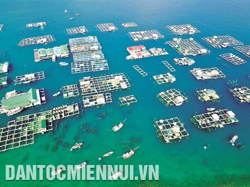 甘平岛乡龙虾养殖场
