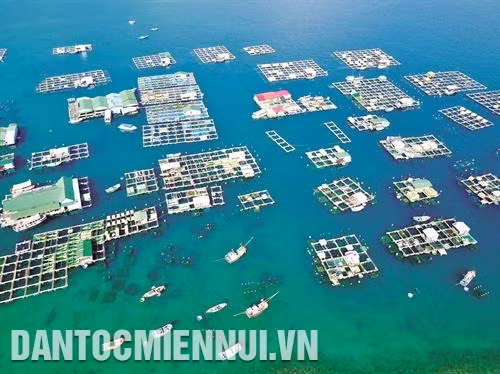 甘平岛乡龙虾养殖场