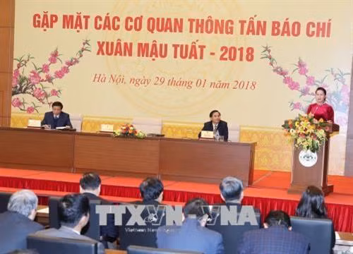 阮氏金银在会上发表讲话。（图片来源：越通社）