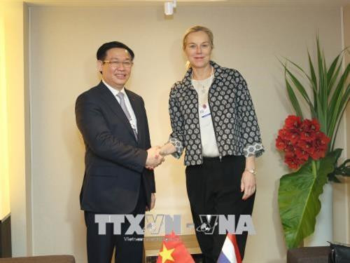王廷惠会见荷兰外贸发展合作大臣西格里德·卡格。越通社记者 黄花 摄