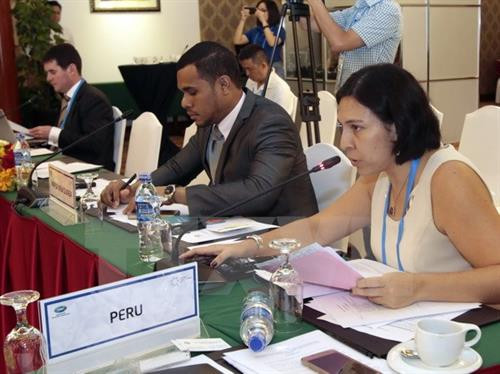 2017年亚太经合组织相关会议。(图片来源:越通社) 2017年亚太经合组织相关会议。(图片来源:越通社)