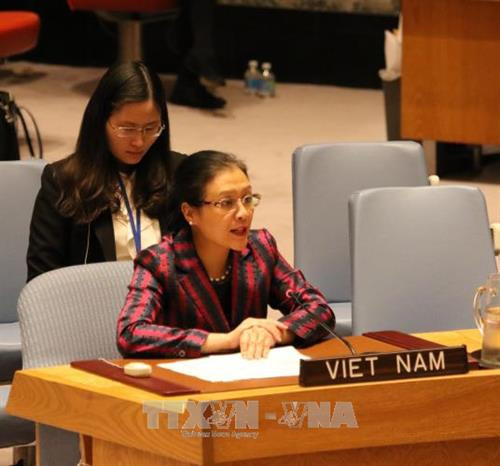 越南驻联合国代表团团长阮芳娥大使。（图片来源：越通社）
