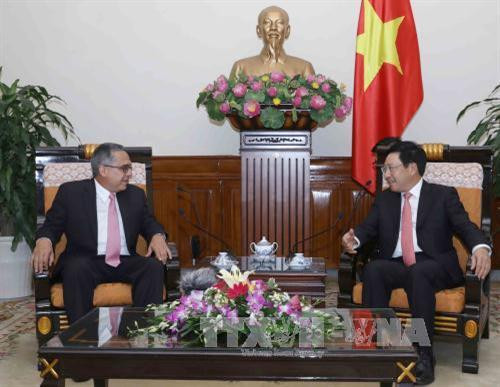 越南政府副总理兼外长范平明与古巴第一副外长马塞利诺•梅迪纳。（图片来源：越通社）