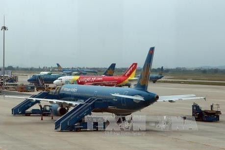 附图。（图片来源：越通社）