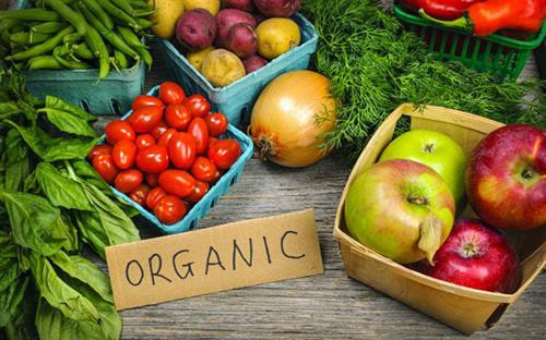 附图 图自因特网