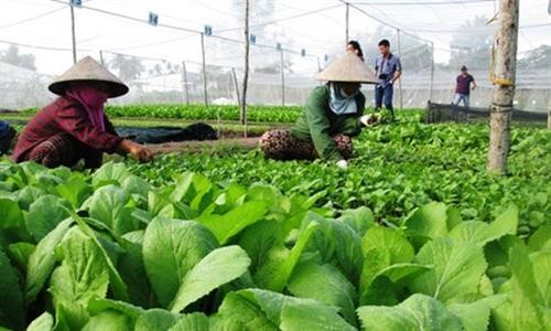 附图 图自因特网