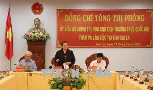 国会常务副主席丛氏放发表讲话。（图片来源：越通社）