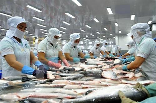 资料图 图自越通社