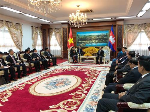 越南国会常务副主席丛氏放会见柬埔寨国会主席韩桑林。（图片来源：越通社）