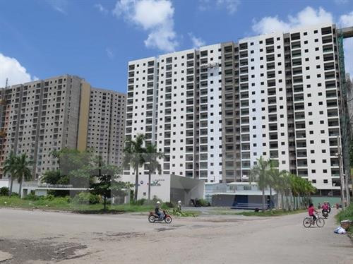 附图。（图片来源：越通社）