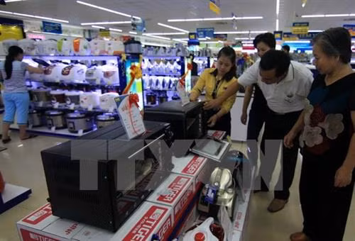 附图。（图片来源：越通社）