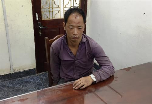 Ding Shi Jie。(图片来源：越通社）