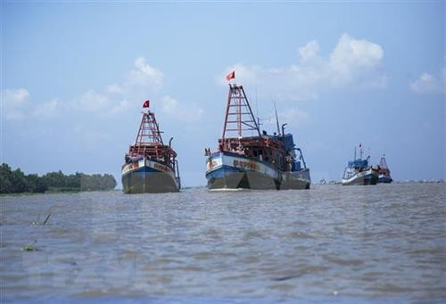 附图:越南渔船出海捕捞。图自越通社 附图:越南渔船出海捕捞。图自越通社