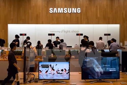 附图。（图片来源：越通社）