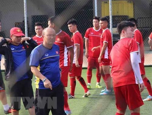 越南国家奥林匹克足球队进行训练。 图自越通社 越南国家奥林匹克足球队进行训练。 图自越通社