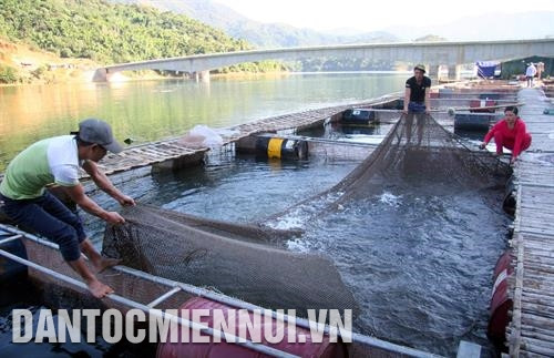 在莱州水库养鱼，帮助少数民族同胞拥有稳定收入，生活稳定。记者 越皇 摄