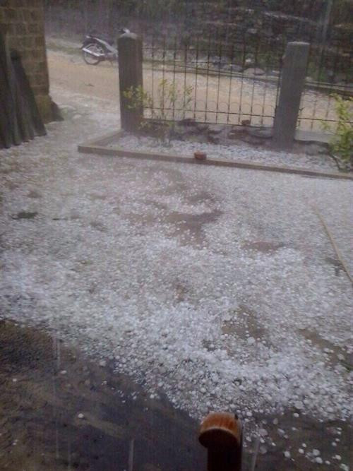 老街省出现冰雹。(图片来源:越通社) 老街省出现冰雹。(图片来源:越通社)