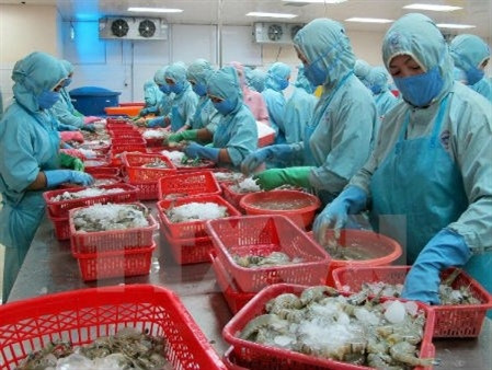 越南水产业面向提高虾出口额的目标（图片来源：越通社）
