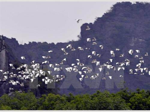 海阳省白鹭岛。(图片来源:越通社) 海阳省白鹭岛。(图片来源:越通社)