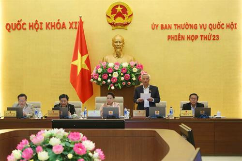国会副主席汪周刘在会上发言。越通社记者 杨江 摄