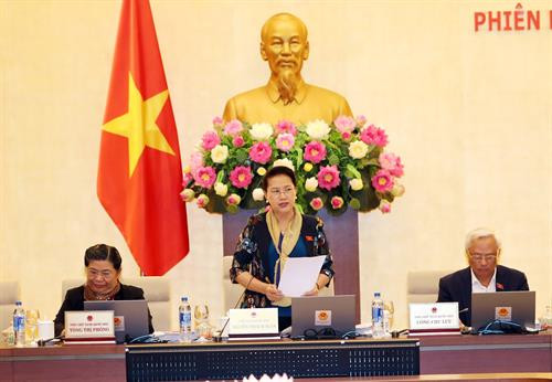 越南国会主席阮氏金银在会议上发表讲话。越通社记者 仲德 摄