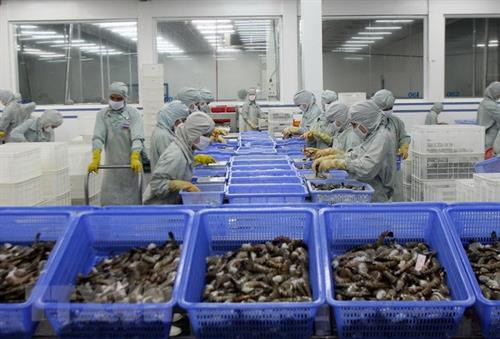附图 图自越通社
