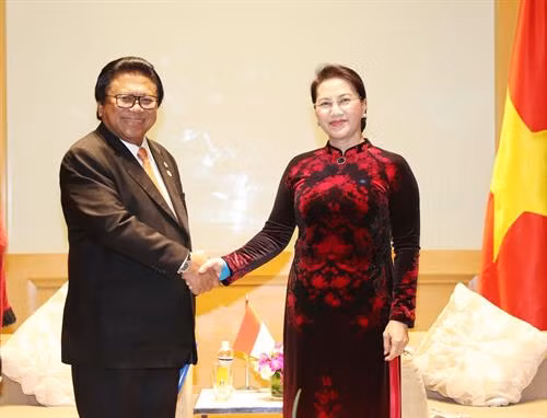 国会主席阮氏金银会见印尼地方代表理事会主席乌斯曼•沙普达。（图片来源：越通社）