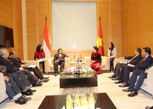国会主席阮氏金银会见印尼地方代表理事会主席乌斯曼•沙普达。（图片来源：越通社）