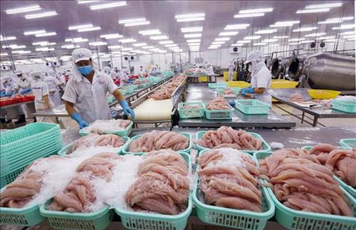 2019年全年越南水产品出口额达100亿美元的目标有可能实现。图自越通社
