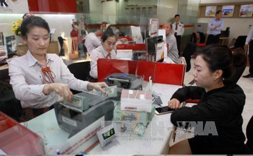 附图。(图片来源:越通社) 附图。(图片来源:越通社)