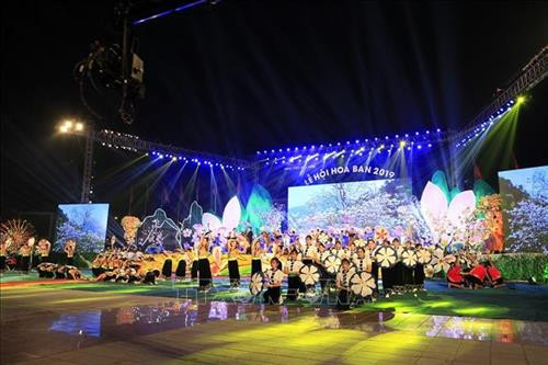 2019年奠边省羊蹄甲花节开幕式场景 图自越通社