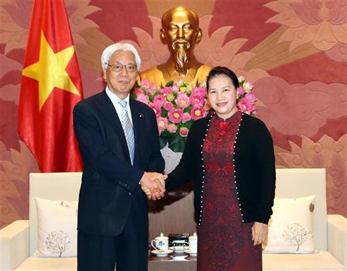 越南国会主席阮氏金银会见日本参议院副议长小川敏夫 。图自越通社