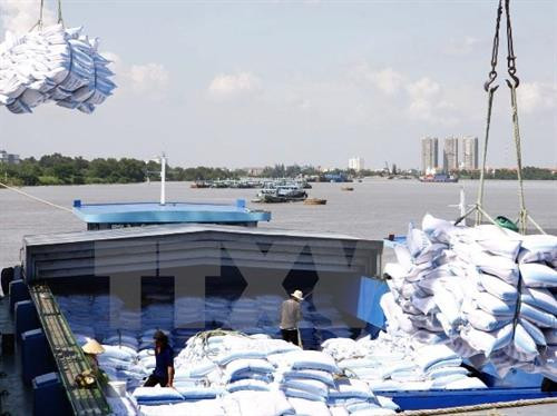 2019年胡志明市商品出口额约达419亿美元。图自越通社