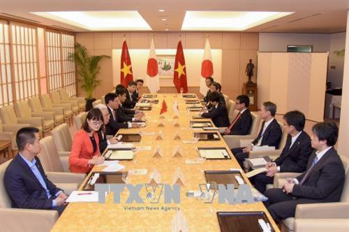 政府副总理兼外交部长范平明（左）与日本外务省大臣河野太郎举行会谈。（图片来源：越通社）