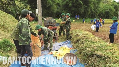 边防哨所干部和战士同三家乡共青团帮助居民收割水稻。记者 黄河 摄