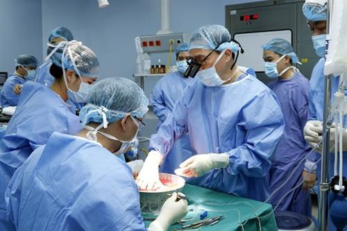 108号军队中央医院进行活体供体“新手掌移植”手术。图自越通社 108号军队中央医院进行活体供体“新手掌移植”手术。图自越通社