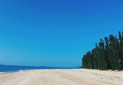 充满原始之美的盖旃岛。图自因特网