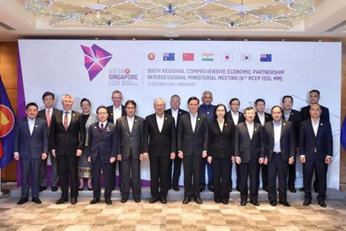 与会代表合影。 图自越通社